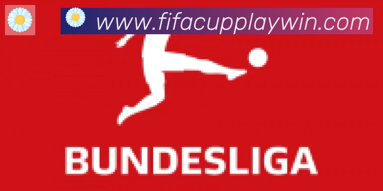 FIFA世界杯下注入口合作伙伴